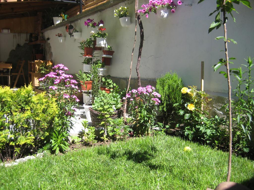 Aseva House Guest House Bansko Bagian luar foto