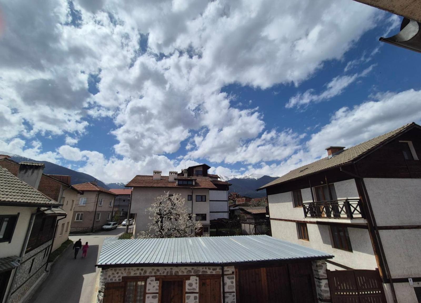 Aseva House Guest House Bansko Bagian luar foto
